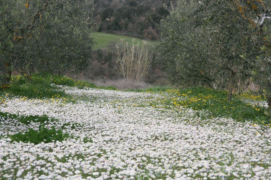 Locanda Le Boscarecce Castelfiorentino Dış mekan fotoğraf