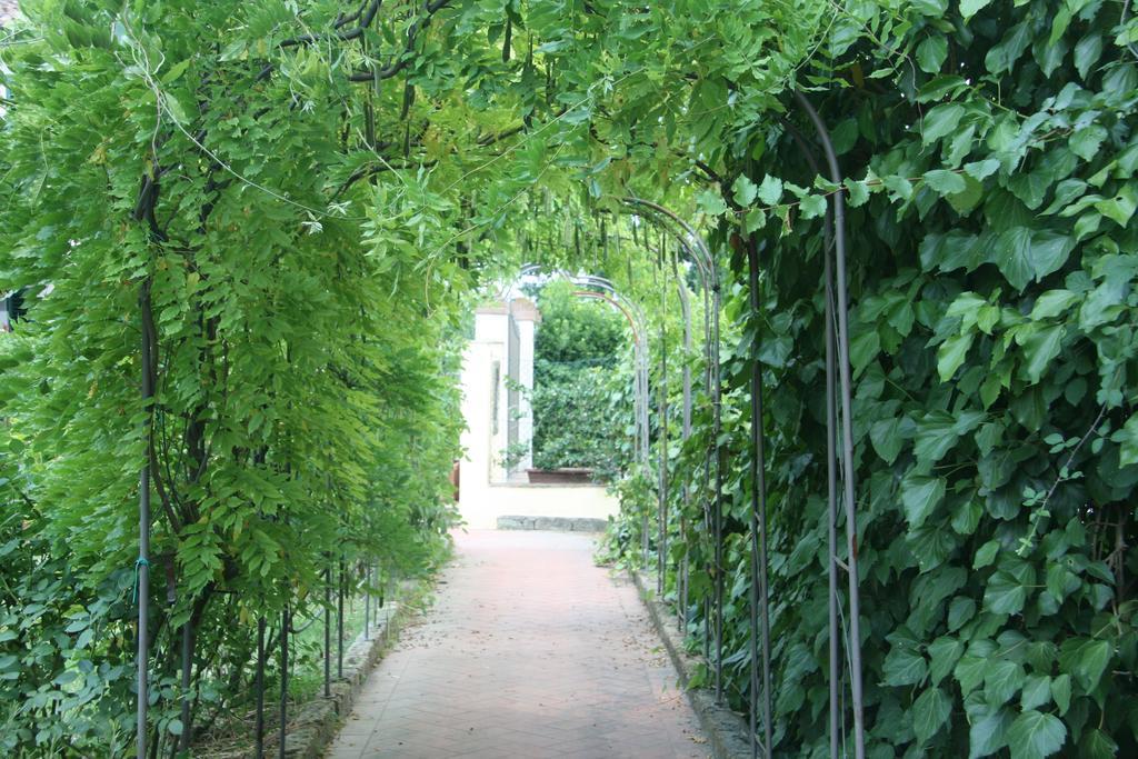 Locanda Le Boscarecce Castelfiorentino Dış mekan fotoğraf