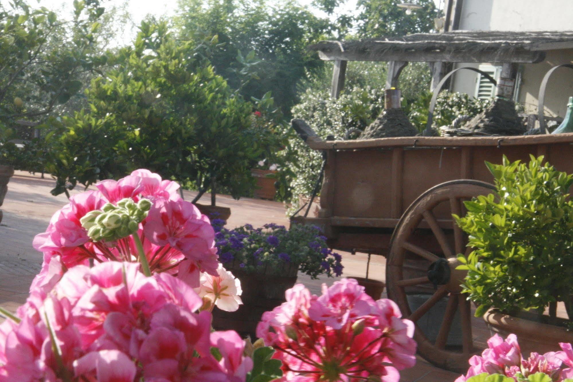 Locanda Le Boscarecce Castelfiorentino Dış mekan fotoğraf
